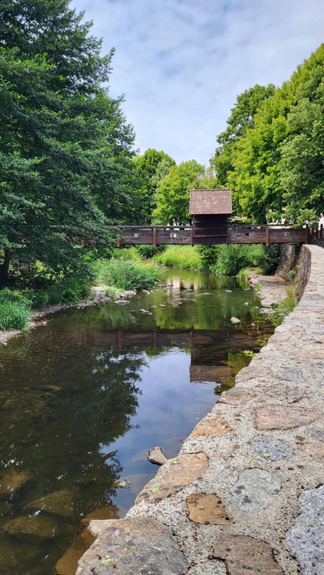 Gite Violette Et Pierrot Masevaux-Niederbruck Экстерьер фото
