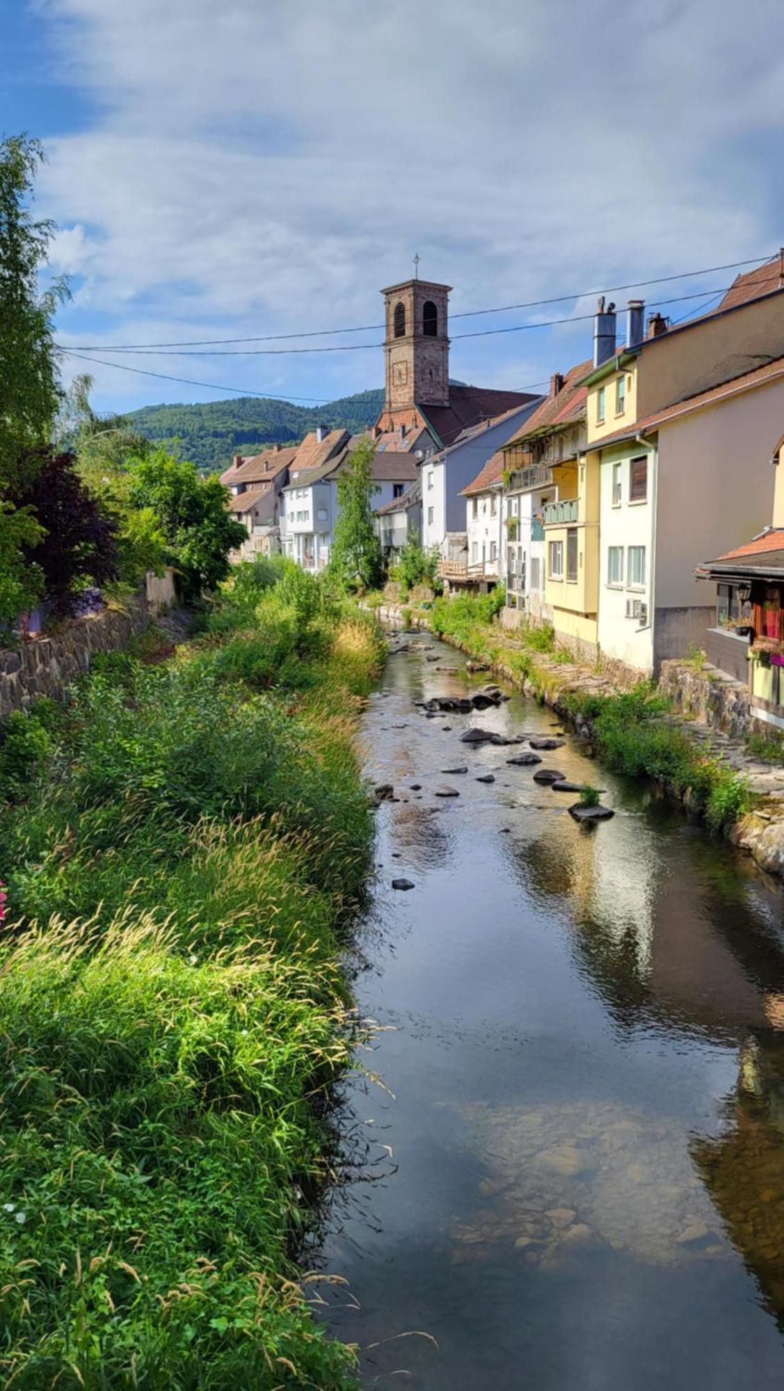Gite Violette Et Pierrot Masevaux-Niederbruck Экстерьер фото