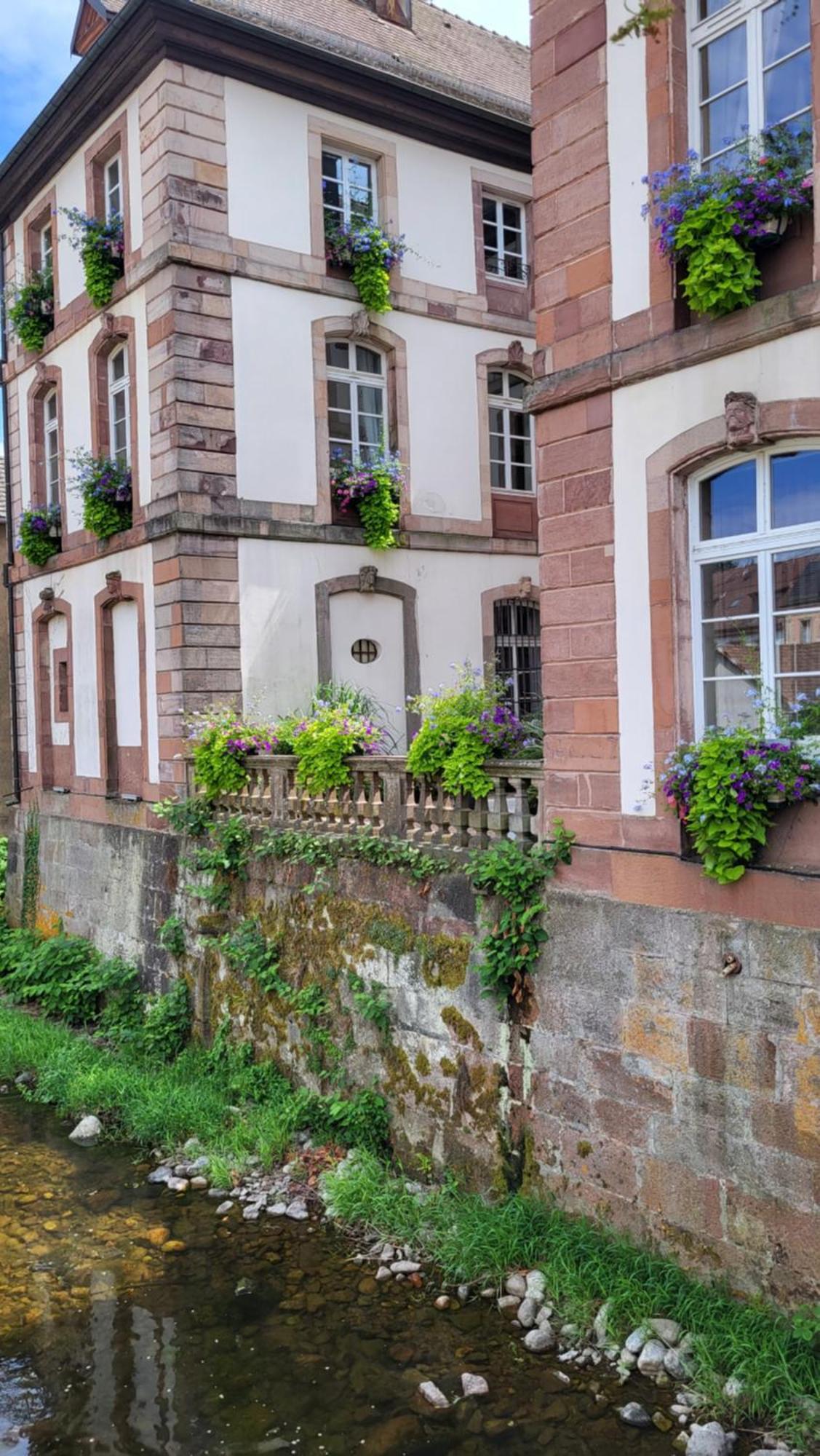 Gite Violette Et Pierrot Masevaux-Niederbruck Экстерьер фото