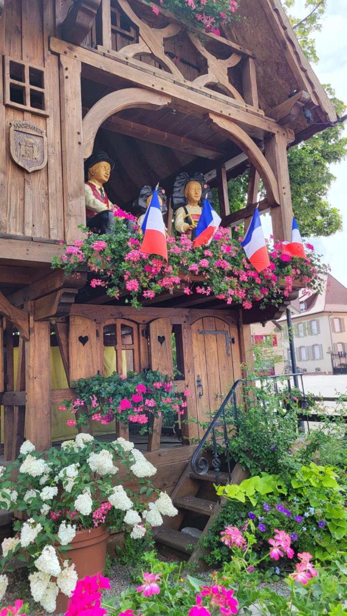 Gite Violette Et Pierrot Masevaux-Niederbruck Экстерьер фото