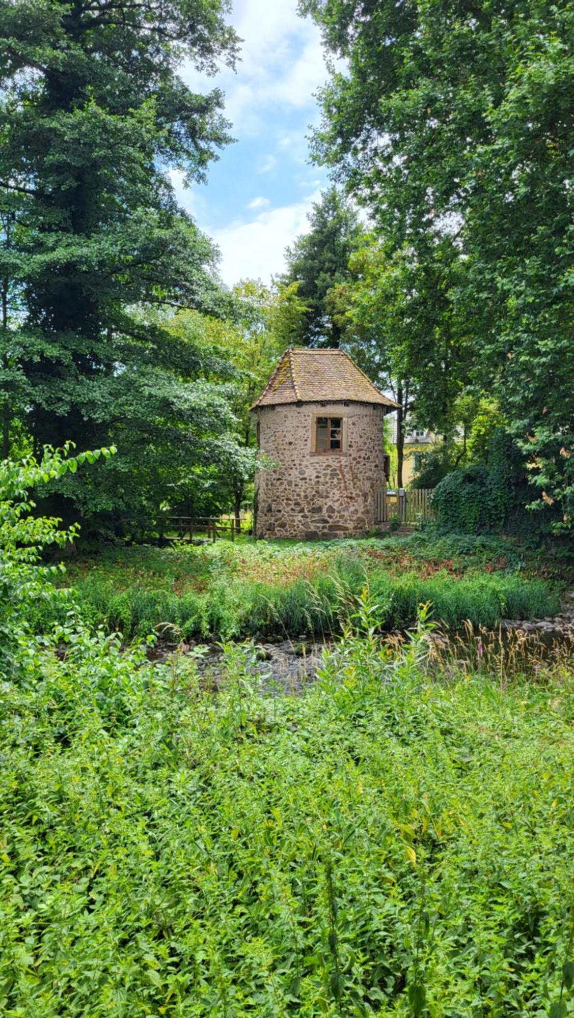 Gite Violette Et Pierrot Masevaux-Niederbruck Экстерьер фото