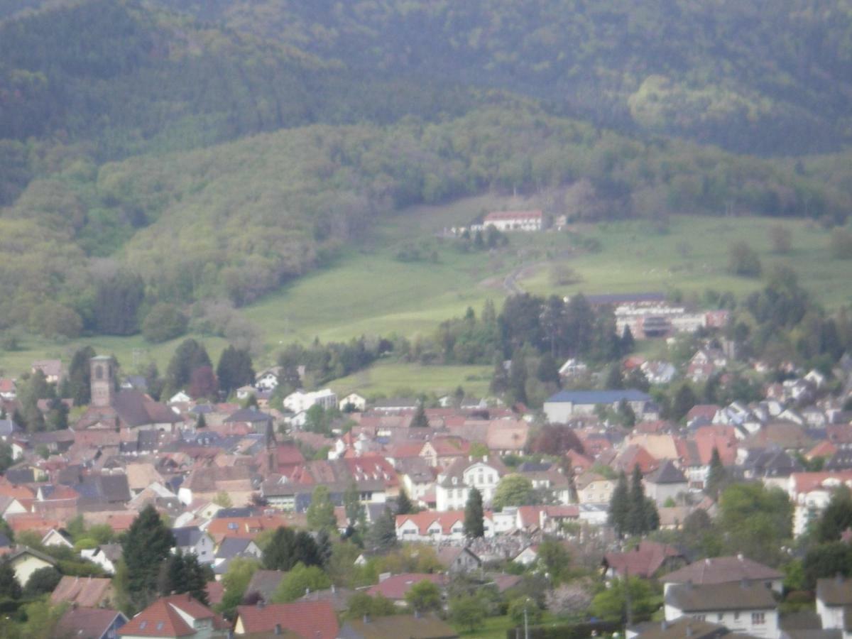 Gite Violette Et Pierrot Masevaux-Niederbruck Экстерьер фото