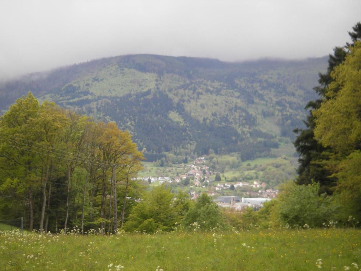 Gite Violette Et Pierrot Masevaux-Niederbruck Экстерьер фото